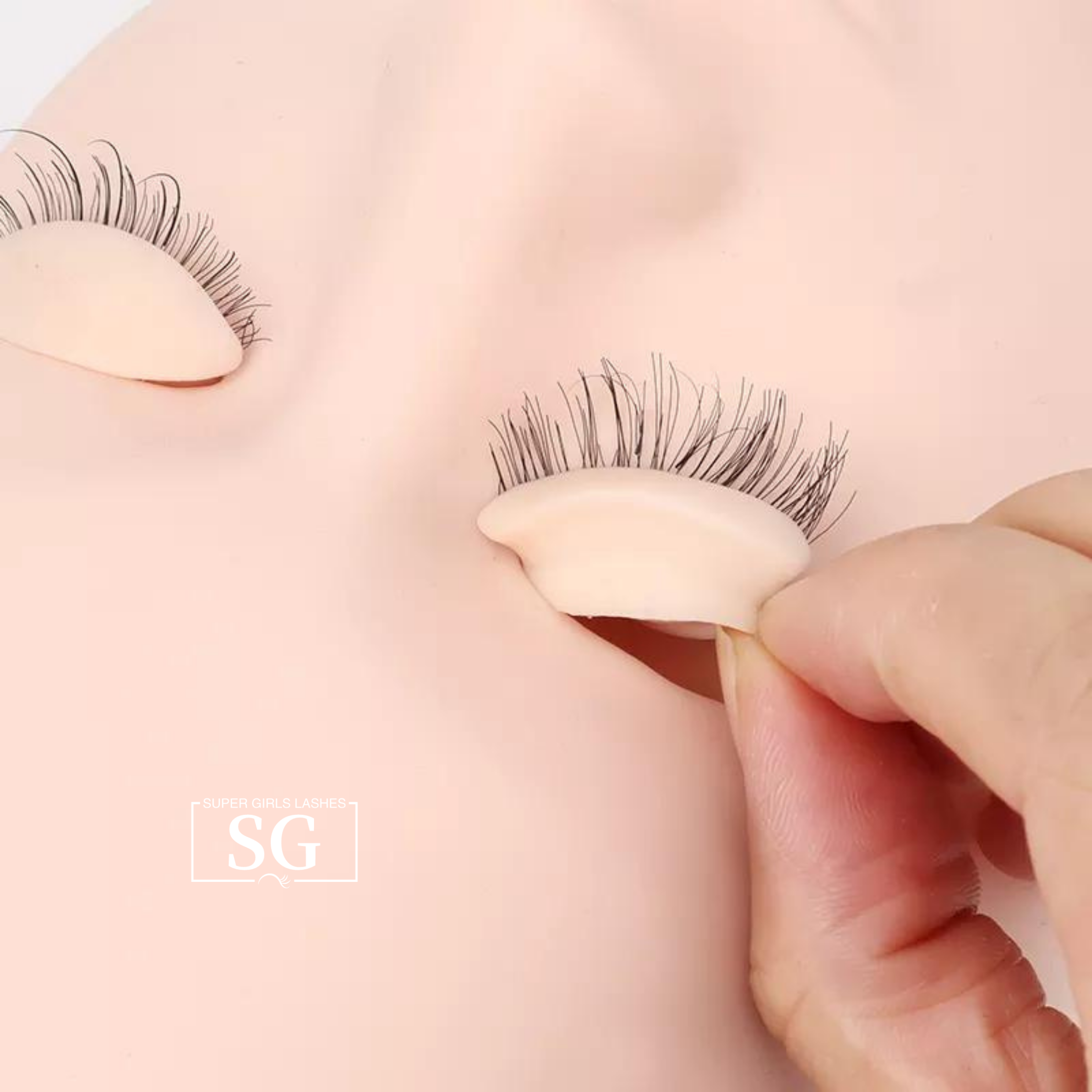 Training Mannequin Heads With Lash - Image 2